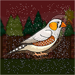 Cute Zebra Finch Escape From Cage Games2Jolly