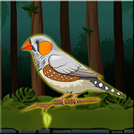 Cute Zebra Finch Rescue Games2Jolly
