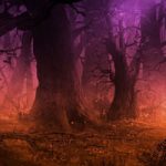 Dark Foggy Forest Escape WowEscape