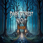 Dark Forest Night Escape 365Escape