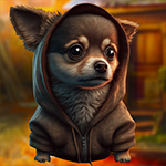 Decent Dog Escape Games4King