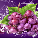 Delicious Grapes Land Escape BigEscapeGames