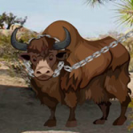 Desert Barbary Buffalo Escape Games2Rule