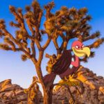 Desert Joshua Tree Escape Games2Rule