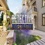 Detective Investigation Hidden247