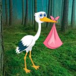 Diamond In A Crane Escape Games2Rule