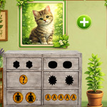 Discover The Green Fresh Leaves 8BGames