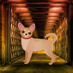 Dog Way Out BigEscapeGames