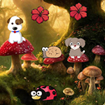Doglets Return To The House BigEscapeGames