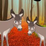 Donkey Pair Escape Games2Rule
