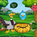 Duck Collect Stolen Eggs WowEscape