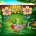 Duck Searching Her Foal Games2Rule