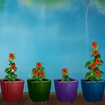 Easy Room Escape 187 AmgelEscape
