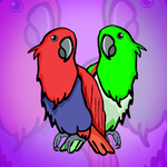 Eclectus Parrot Escape Games2Jolly