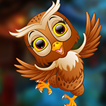 Ecstatic Owl Escape