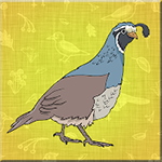 Elegant Quail Escape Games2Jolly