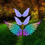 Enchanted Wings Jungle Escape Games2Rule