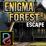 Enigma Forest Escape Games4King