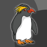 Erect Crested Penguin Escape Games2Jolly