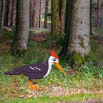 Escape From Foliage Forest Games2Rule