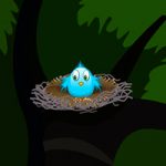 Escape From Palapa Hut TollFreeGames