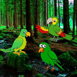 Escape From Parrot Forest Games2Rule