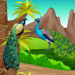 Escape From Peacock Forest BigEscapeGames