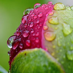 Escape From Rain Garden Games2Rule
