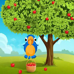 Escape From Scenery Jungle HiddenOGames