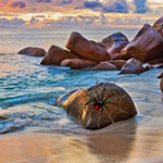Escape From Secret Island BigEscapeGames