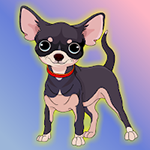 Escape The Chihuahua FastrackGames