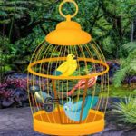 Escape The Free Birds Games2Rule