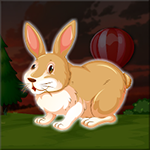 Escape The Lovable Pet Rabbit Games2Jolly