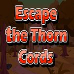Escape The Thorn Cords AjazGames