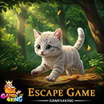 Escaping Cat Rescue Games4King