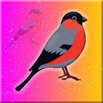 Eurasian Bullfinch Rescue Games2Jolly