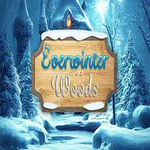 Everwinter Woods Hidden247