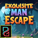 Exquisite Man Escape Games4King