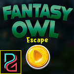 Fantasy Owl Escape Games4King