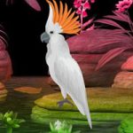 Fantasy White Bird Escape WowEscape