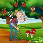 Farmer Locate Missing Turkeys Games2Rule