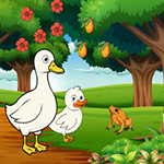 Feed Hungry Duck Family Games2Rule