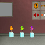 Find Baby Boy Caleb 8BGames