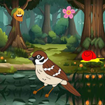 Find Hidden Sparrow Nest Games2Rule
