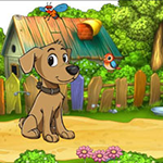 Find Meal For The Dog Games2Rule