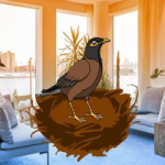 Find My Nest BigEscapeGames