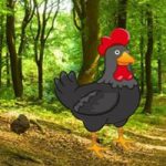 Find The Black Rooster Pair BigEscapeGames