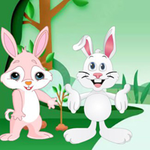 Find The Buddy Rabbit BigEscapeGames