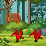Find The Turkey Child BigEscapeGames