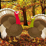 Find The Turkey Pair BigEscapeGames